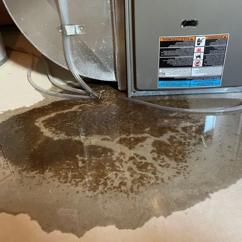 Pipe Burst and Leak Restoration in Wolfhurst, OH