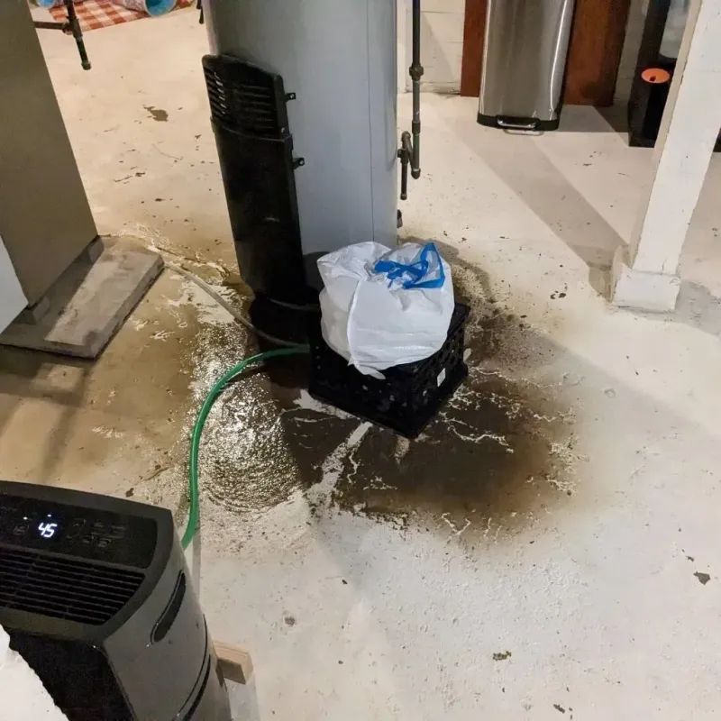 Sewage Backup Cleanup Service in Wolfhurst, OH